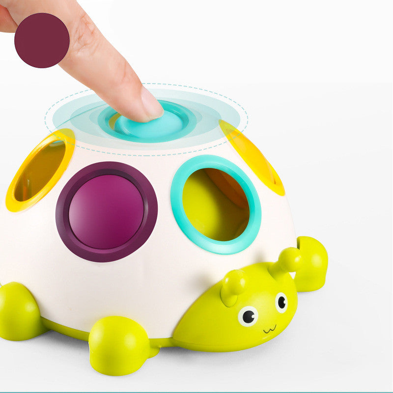 Picking Hole Ball Educational Early Education Toy